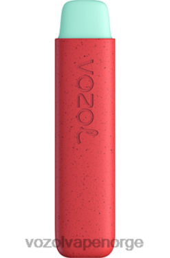 Vozol Vape Nikotin - VOZOL STAR 550 eple fersken 84T4P138