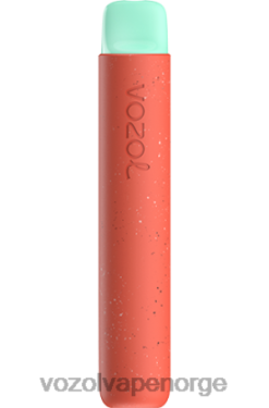 Vozol Vape Nikotin - VOZOL STAR 600 litchi guava vannmelon 84T4P88