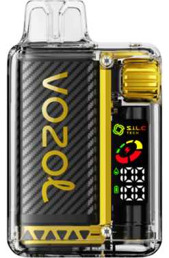 Vozol Vape Nikotin - VOZOL VISTA 16000/20000 mango is 84T4P8
