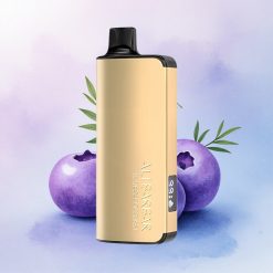 Alibarbar Ingot 9000 Puffs Blåbærsmell 2350mAh 22ml