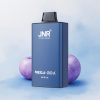 JNR Mega Box 25000 Herr Blå 30ml Dual Mesh