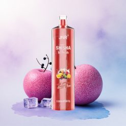 JNR Shisha Hookah 12000 Bæris med 750mAh og 24ml