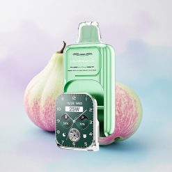 JNR VapeWatch 30000 Miami Mynte Dual Mesh Coil 19mL 5% nikotin