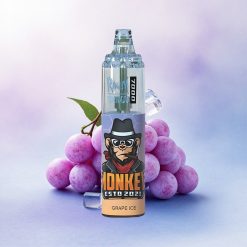 RandM Fumot Tornado 7000 Puffs Drueis Mesh Coil 850mAh