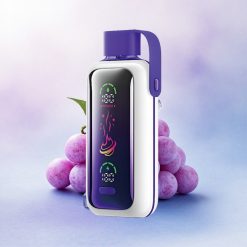 VOZOL Star 20000 Puffs Druppel Is 650mAh Dual Mesh