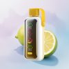 VOZOL Star 20000 Puffs Sitron Lime Dual Mesh 650mAh