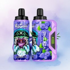 VapSolo VIKING 12000 Puffs Blåbær Type-C 22ml Nikotin